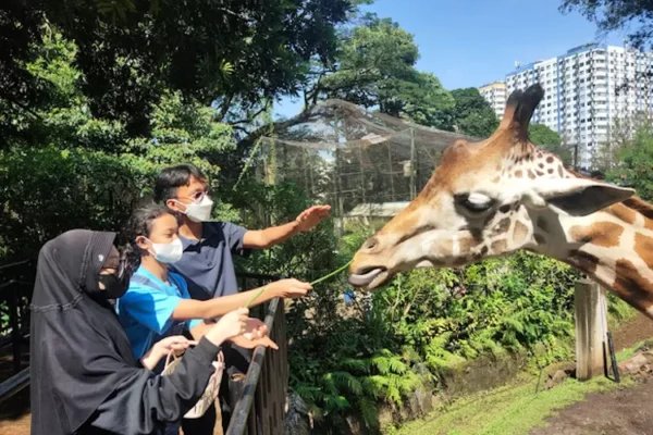 Menikmati Weekend Bertamasya Ke Kebun Binatang Bareng Anak