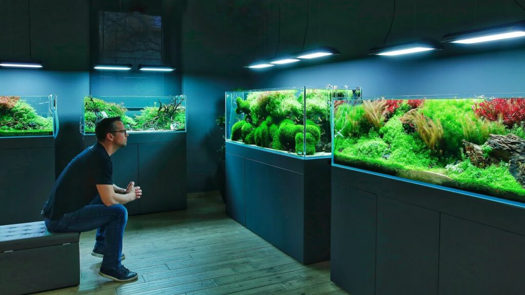 Hobi Aquascape