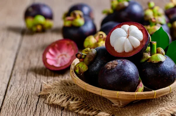 Manggis Buah Yang Mungil Dan Manis Dengan Banyak Manfaat