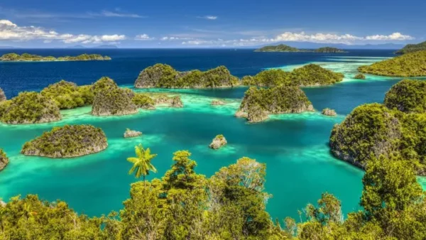 Provinsi Papua Barat Keindahan Alam Yang Tiada Dua