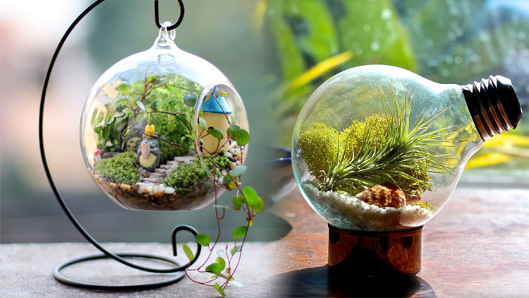 Mengenal Terrarium