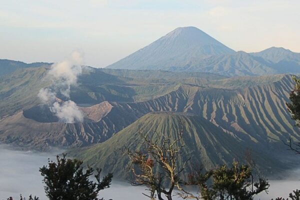 Panorama Bromo Akibat Kebakaran Dapatkan Dampak Negatif