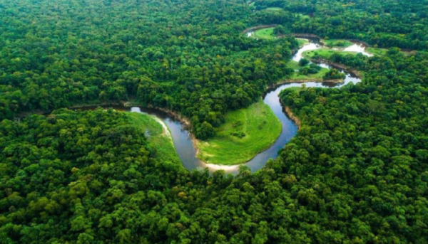 Sungai Amazon Memiliki Hewan Yang Berbahaya Dan Langka
