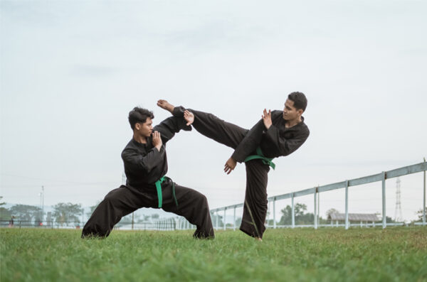 Seni Pencak Silat Bela Diri Warisan Asal Indonesia