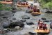 Olahraga Arung Jeram Merupakan Kegiatan Ekstrem