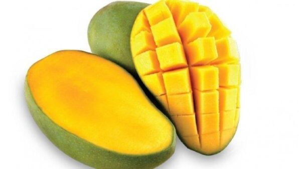 Benarkah Penderita Asam Urat Di Larang Makan Buah Mangga