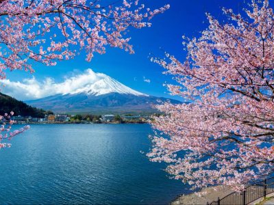 Daya Tarik Jepang Di Mata Wisatawan