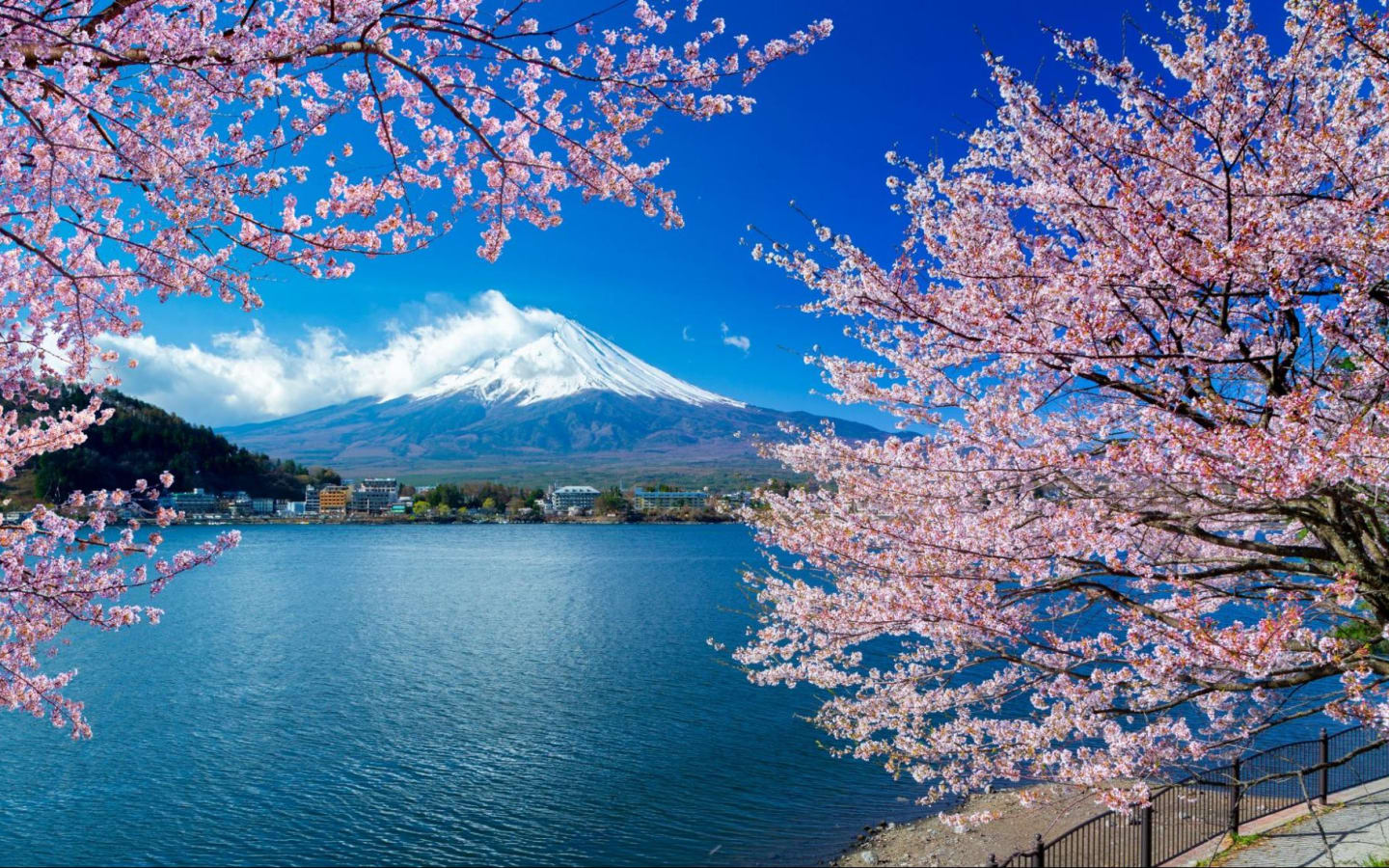 Daya Tarik Jepang Di Mata Wisatawan