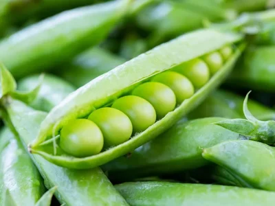 Mengkonsumsi Kacang Polong Dapat Membantu Melancarkan BAB