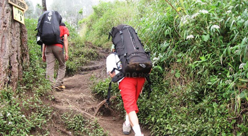 Pendaki Gunung Harus Menyiapkan Fisik Dan Mental