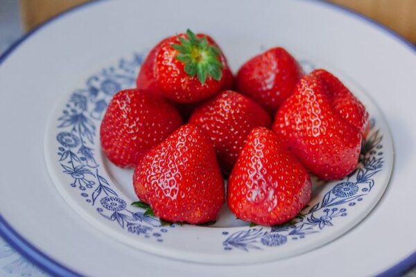 Bibit Strawberry Terbaik Untuk Lahan Pertanianmu