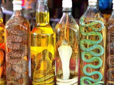 Snake Wine