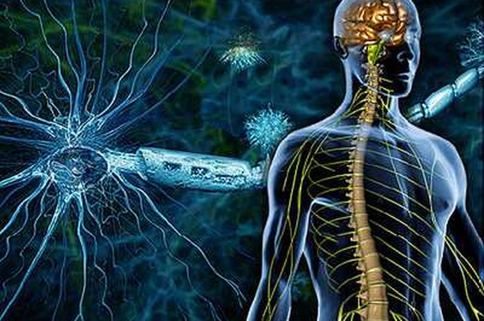 Penyakit Multiple Sclerosis