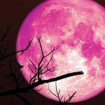 Strawberry Moon Hiasi Langit Indonesia Malam Ini