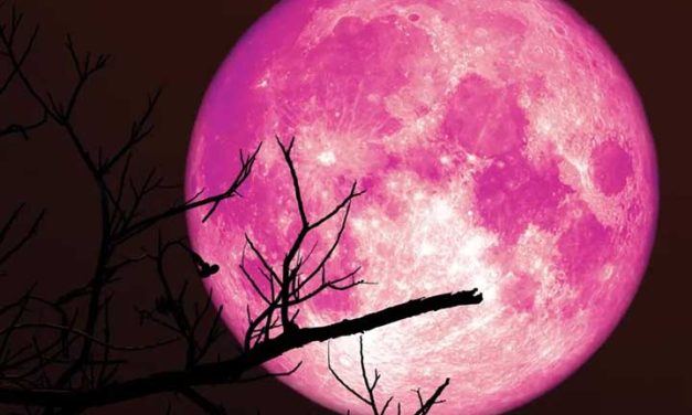 Strawberry Moon Hiasi Langit Indonesia Malam Ini