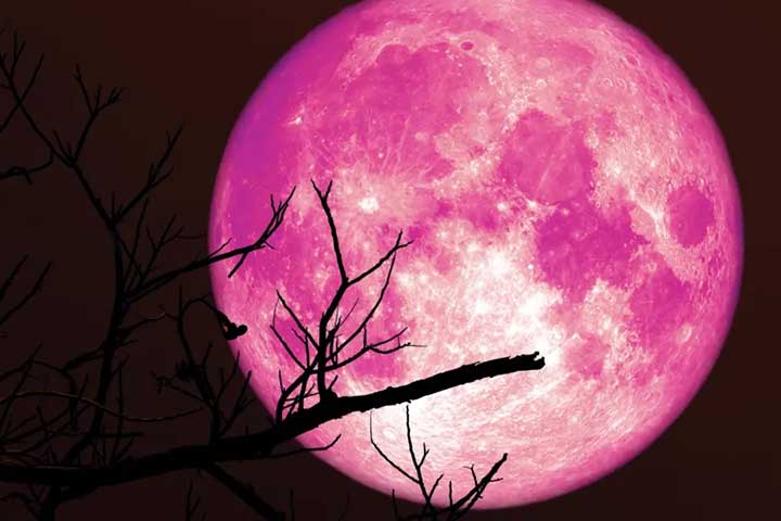 Strawberry Moon Hiasi Langit Indonesia Malam Ini