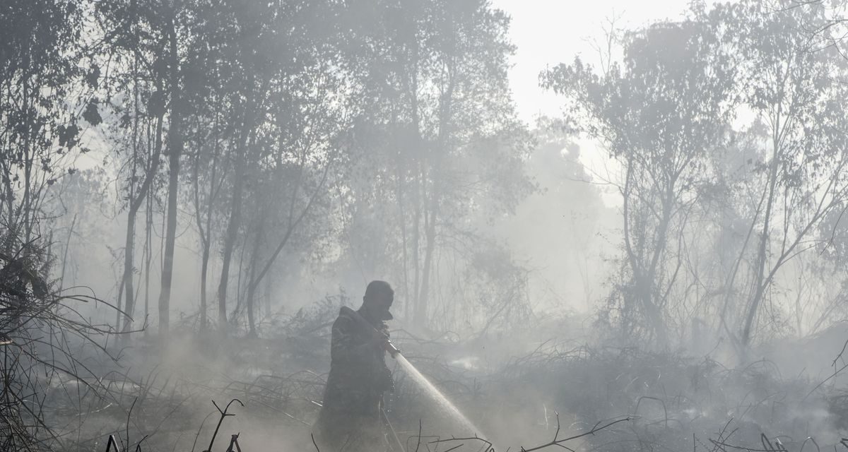 BNPB Ungkap Sumber Air Menyusut, Pemadaman Makin Sulit