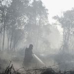 BNPB Ungkap Sumber Air Menyusut, Pemadaman Makin Sulit
