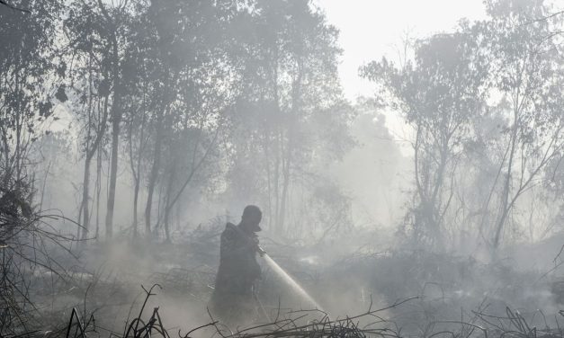 BNPB Ungkap Sumber Air Menyusut, Pemadaman Makin Sulit