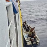 Efek Domino El Niño Ancam Kelangsungan Ekosistem Laut Pasifik