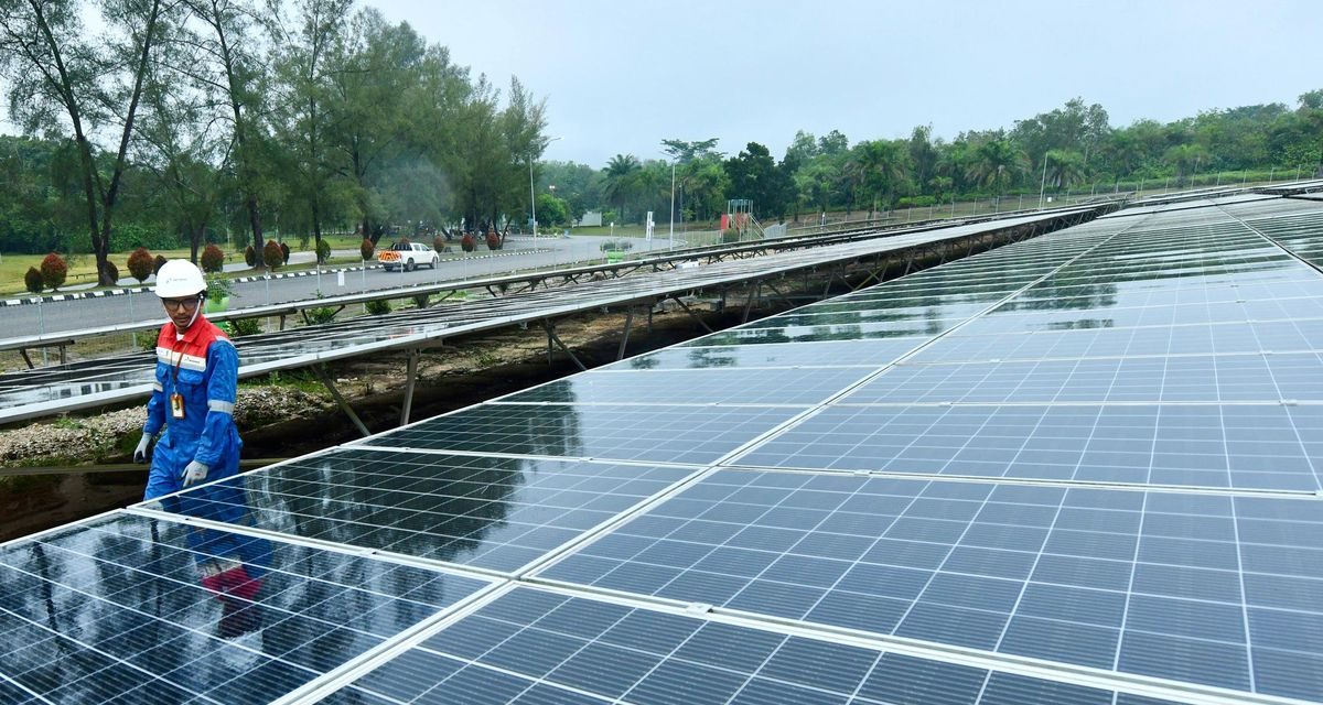 Pengembangan Panel Surya China, Keanekaragaman Burung Menurun