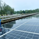 Pengembangan Panel Surya China, Keanekaragaman Burung Menurun