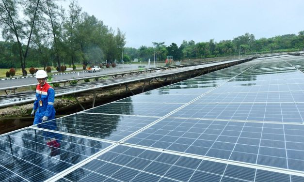 Pengembangan Panel Surya China, Keanekaragaman Burung Menurun