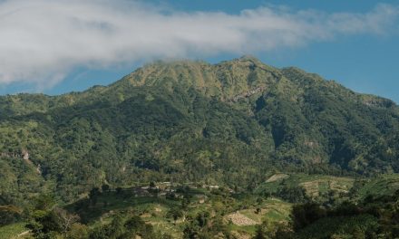Upaya AQUA Menjaga Kualitas Air Sejak dari Hulu Merapi