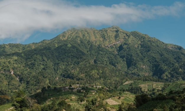 Upaya AQUA Menjaga Kualitas Air Sejak dari Hulu Merapi