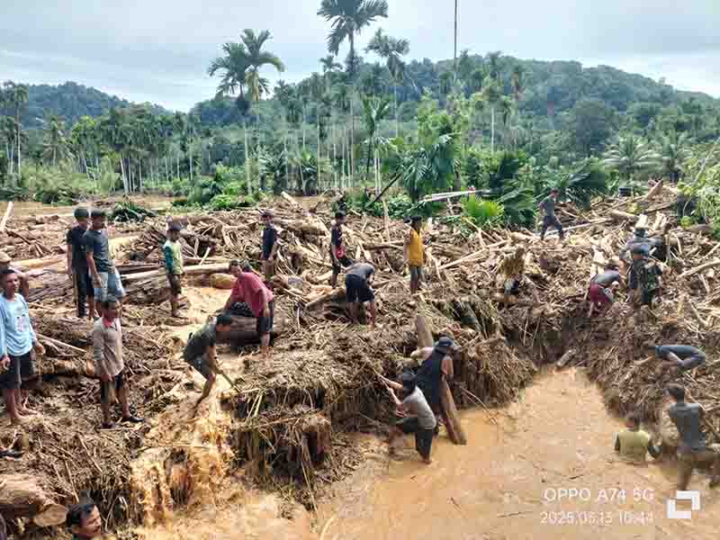 Banjir Bandang Berulang di Sumatera, Tata Ruang Harus Di ubah