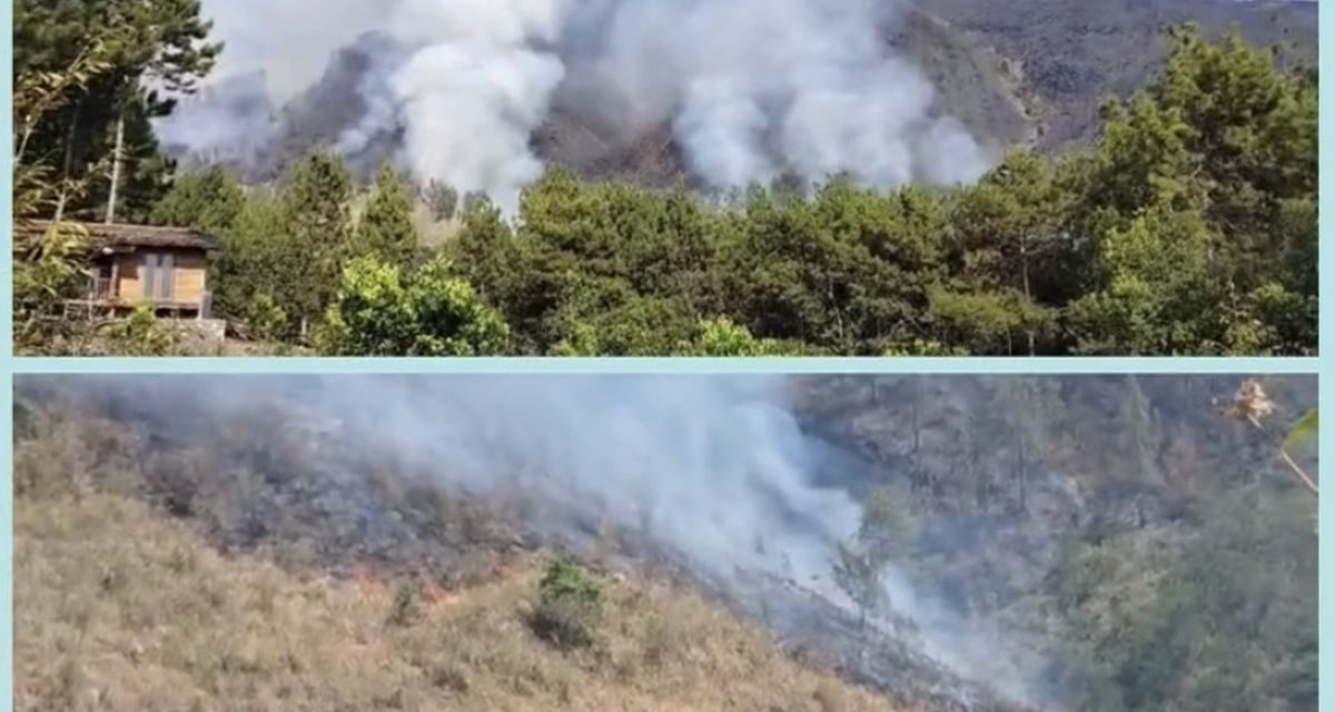 Karhutla Gunung Arjuno-Welirang Padam, Jalur Pendakian Ditutup