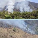 Karhutla Gunung Arjuno-Welirang Padam, Jalur Pendakian Ditutup