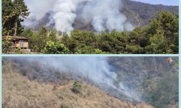 Karhutla Gunung Arjuno-Welirang Padam, Jalur Pendakian Ditutup