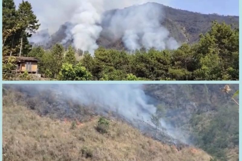 Karhutla Gunung